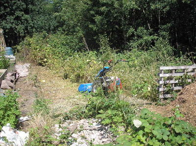 Preparing the communal area on the upper field