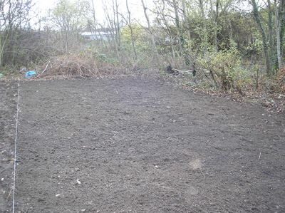 after clearance with the grass seed sown