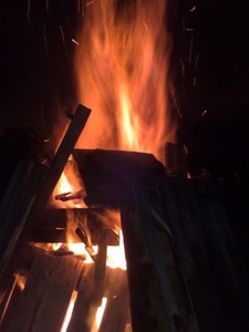 Bonfire Night 2011